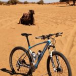 Polacy, rowery i piaski Sahary…