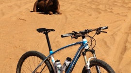 Polacy, rowery i piaski Sahary… Podróże, LIFESTYLE - Piaszczysto-kamieniste tereny marokańskiej Sahary i potężne masywy górskie – to ostatni z celów polskiej grupy rowerowej United Cyclists, która od lat jednośladami przemierza najciekawsze i równocześnie mało przyjazne człowiekowi regiony świata.