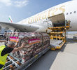 50. Airbus A380 dołączył do floty Emirates