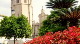 Pierwsza Europejska Nagroda Pogodowa dla Walencji Podróże, LIFESTYLE - Walencja, jako miasto na kilkudniową wycieczkę, zdobyła pierwszą w historii Europejską Nagrodę Pogodową. Z kolei najlepszym miastem w Polsce, gdzie pogoda sprzyja pobytowi turystów, został ogłoszony Kraków.