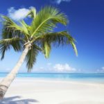 Egzotyczne wyjazdy coraz popularniejsze