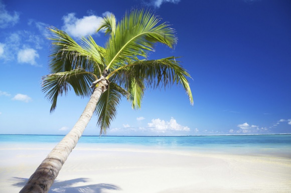 Egzotyczne wyjazdy coraz popularniejsze