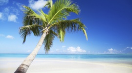 Egzotyczne wyjazdy coraz popularniejsze Podróże, LIFESTYLE - Według analiz największego pośrednika wyjazdów turystycznych Travelplanet.pl, rośnie zainteresowanie Polaków egzotycznymi podróżami. A w tym roku będzie taniej niż w ubiegłym.