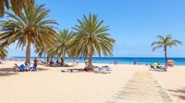 Słoneczne wakacje w Europie? Tylko na Teneryfie!