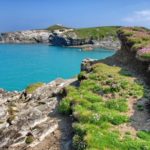 Podróże z kinem w tle