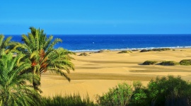 Dlaczego lubimy Wyspy Kanaryjskie? Podróże, LIFESTYLE - Egzotyczna i piękna sceneria, dogodny klimat, niedaleko i w dodatku bez paszportu – Wyspy Kanaryjskie są odpowiednie na urlop w każdym czasie. Którą wyspę wybrać? Do którego hotelu pojechać? – próbują podpowiedzieć eksperci z serwisu HolidayCheck.pl.