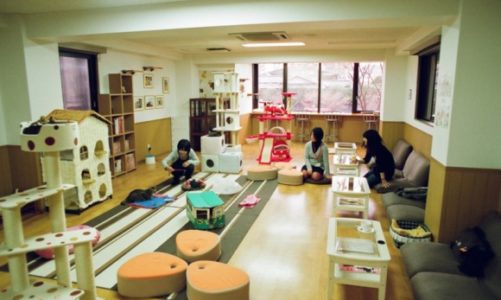 RELAKS PO JAPOŃSKU!