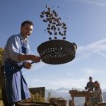 Czas zbiorów i święto Törggelen