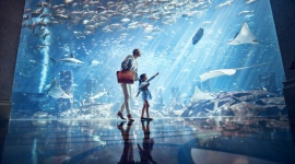 W Chinach otwarto luksusowy hotel pod szyldem Atlantis Podróże, LIFESTYLE - Hotel Atlantis Sanya na wyspie Hajnan przywitał pierwszych gości wraz z początkiem chińskiego Nowego Roku. To pierwszy ośrodek Atlantis w Chinach. Jako zintegrowane centrum rozrywki, wzmocni atuty turystyczne tej wyjątkowej wyspy, zwanej chińskimi Hawajami.