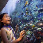 Poczuj dziecięcą radość