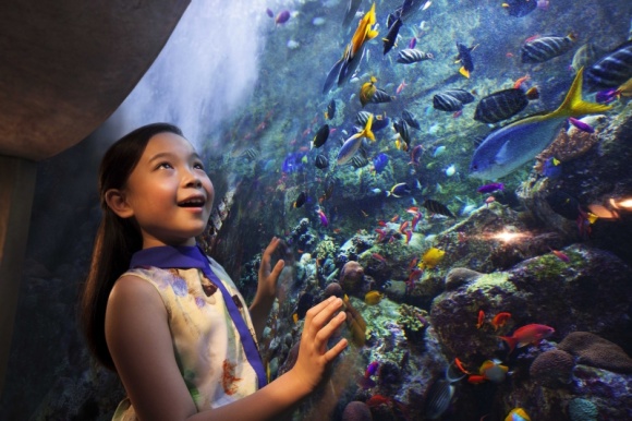 Poczuj dziecięcą radość