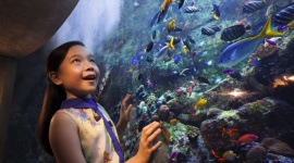 Poczuj dziecięcą radość Podróże, LIFESTYLE - Wybór kierunku i miejsca na wyjazd z najbliższymi to nie lada wyzwanie. Należy wziąć pod uwagę oczekiwania wszystkich członków rodziny zarówno tych młodszych, jak i starszych. Warto odkryć w sobie dziecięce marzenia i dać się uwieść niezwykłej przygodzie!