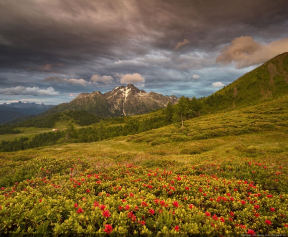 Pięć szlaków na wędrówki z dzieckiem we włoskim Trentino Podróże, LIFESTYLE - Jest wiele tras – nie tylko w miastach, ale również na łonie natury – które umożliwiają aktywny wypoczynek z pociechą. Część z nich leży na obszarze malowniczego włoskiego regionu Trentino. Przedstawiamy pięć - wartych uwagi - szlaków.