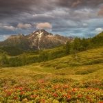 Pięć szlaków na wędrówki z dzieckiem we włoskim Trentino