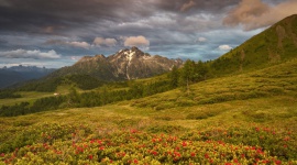 Pięć szlaków na wędrówki z dzieckiem we włoskim Trentino