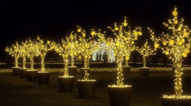 Na Otwarcie Królewskiego Ogrodu Światła będą bić Rekord Polski Podróże, LIFESTYLE - W ramach uroczystego otwarcia Królewskiego Ogrodu Światła w Wilanowie (Warszawa) już w najbliższą sobotę 13 października 2018 roku odbędzie się oficjalna próba ustanowienia Rekordu Polski.