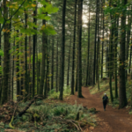 Podróżuj wiosną – najpiękniejsze pasma na południu Polski