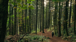 Podróżuj wiosną – najpiękniejsze pasma na południu Polski Podróże, LIFESTYLE - O niezbędnym wyposażeniu i najpiękniejszych szlakach w Polsce dopasowanych do możliwości początkujących i wprawnych miłośników gór opowiada himalaista Jakub Rybicki, ekspert marki Merrell.