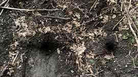 Właz w Mamerkach już odkryty Podróże, LIFESTYLE - Zgodnie z zapowiedziami Muzeum w Mamerkach, w czwartek 27 czerwca odsunięty został właz, nienaruszany od czasów II wojny światowej.