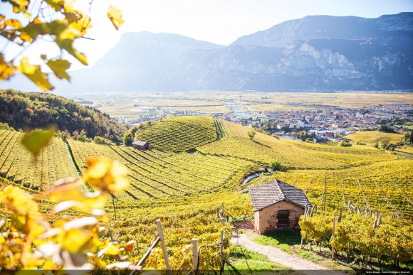 Pokój z widokiem na winnicę Podróże, LIFESTYLE - Winiarnie to wyjątkowe miejsca, w których łączy się przyjemność dla podniebienia z odkrywaniem najstarszych tradycji tego regionu. Włoski region Trentino to region bogaty w sieć urokliwych winnic, w których można również zatrzymać się na nocleg.