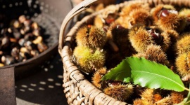 Sezon na młode wino i kasztany w gospodarstwach Roter Hahn