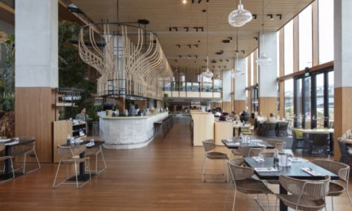 Najbardziej ekologiczny hotel w Holandii