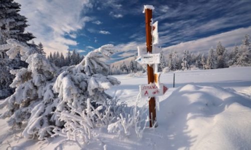 Jednodniowe wędrówki z dziećmi