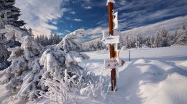 Jednodniowe wędrówki z dziećmi Podróże, LIFESTYLE - Nic tak nie pobudza i nie otwiera na świat jak wspólne wycieczki, które integrują i zbliżają członków rodziny do siebie.
